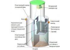 Панда Кинг 15